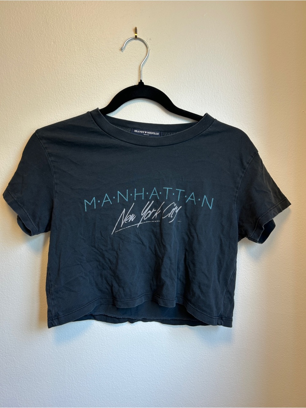 Brandy Melville Manhattan cropped t-shirt